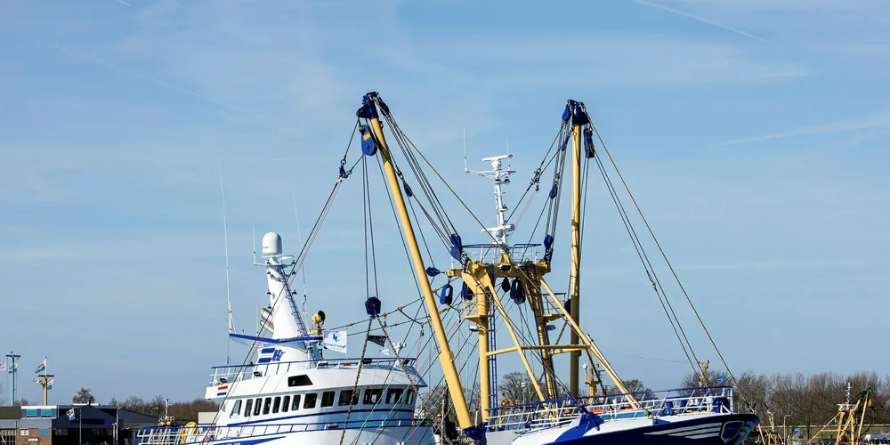 Busy place: Damen Shipyards Group, based in The Netherlands, operates 34 shipbuilding and repair yards, employing 10, 000 people worldwide.