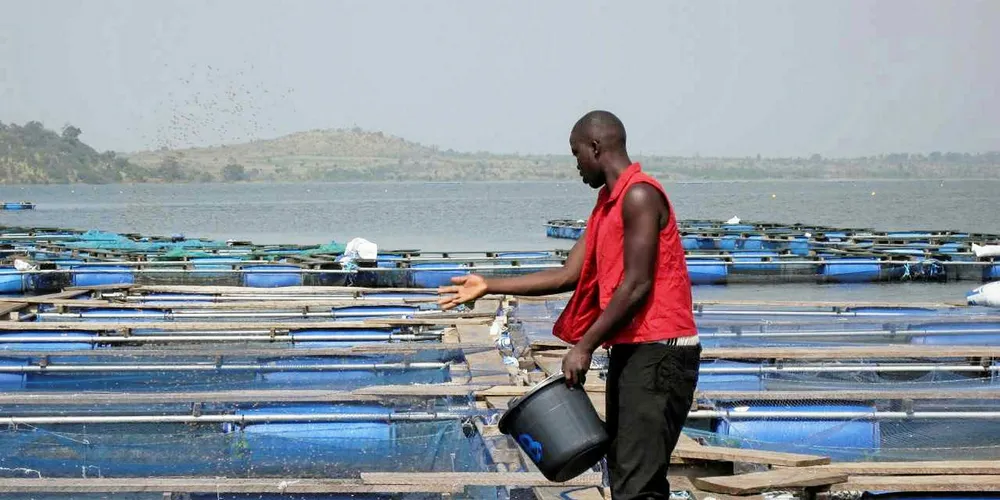 Skretting is aggressively expanding its foothold in Nigeria.