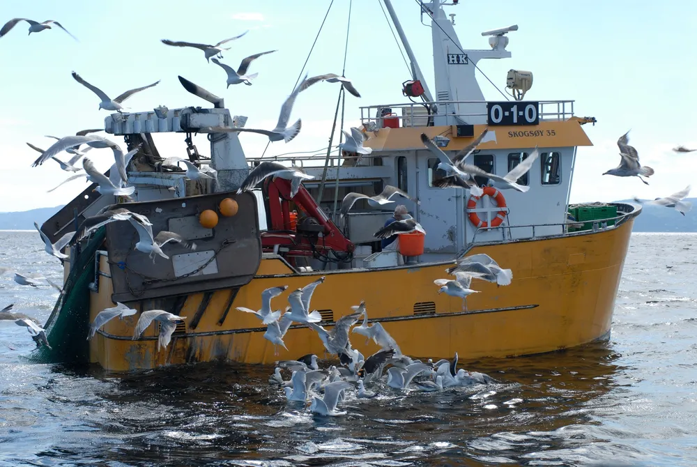 Rekefiskerne i Oslofjorden trues av nye tøffe begrensninger, men det er viktig at også aktiviteten på land får skjerpet sine krav om utslipp i fjorden, mener Fiskeribladet.