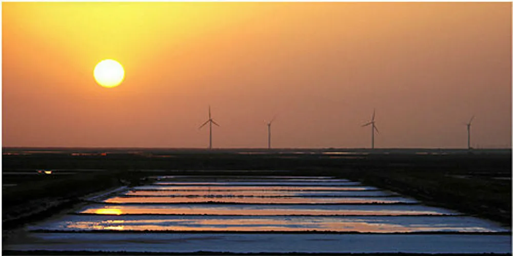 Onshore wind turbines on the coast of Kutch, Gujarat. The state is being tipped as the site for India's first offshore developments.
