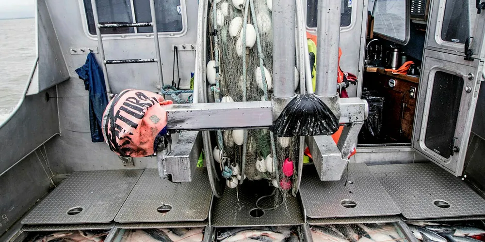 Bristol Bay had a record salmon catch in 2018.
