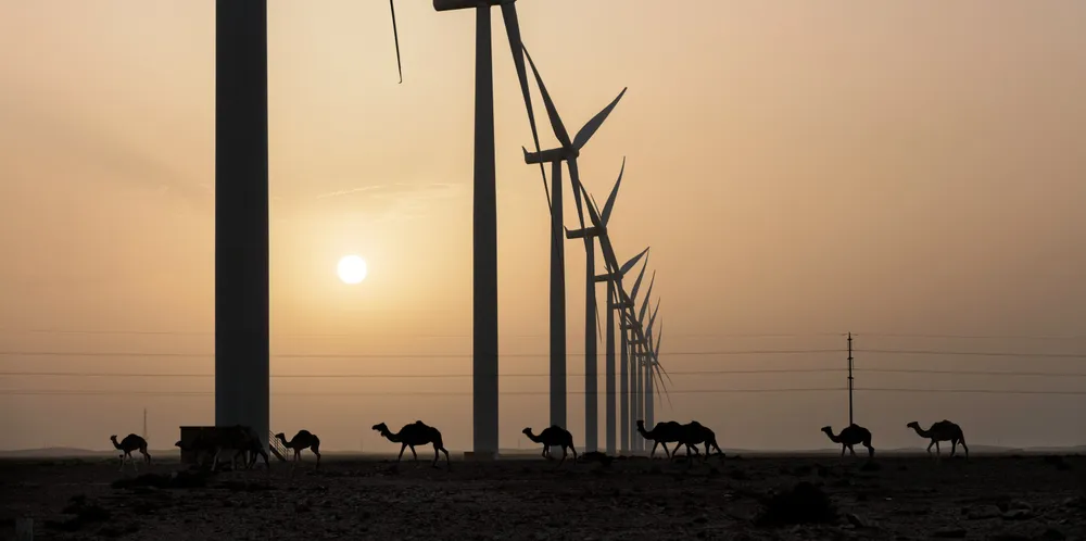 The Tarfaya wind project in Morocco.