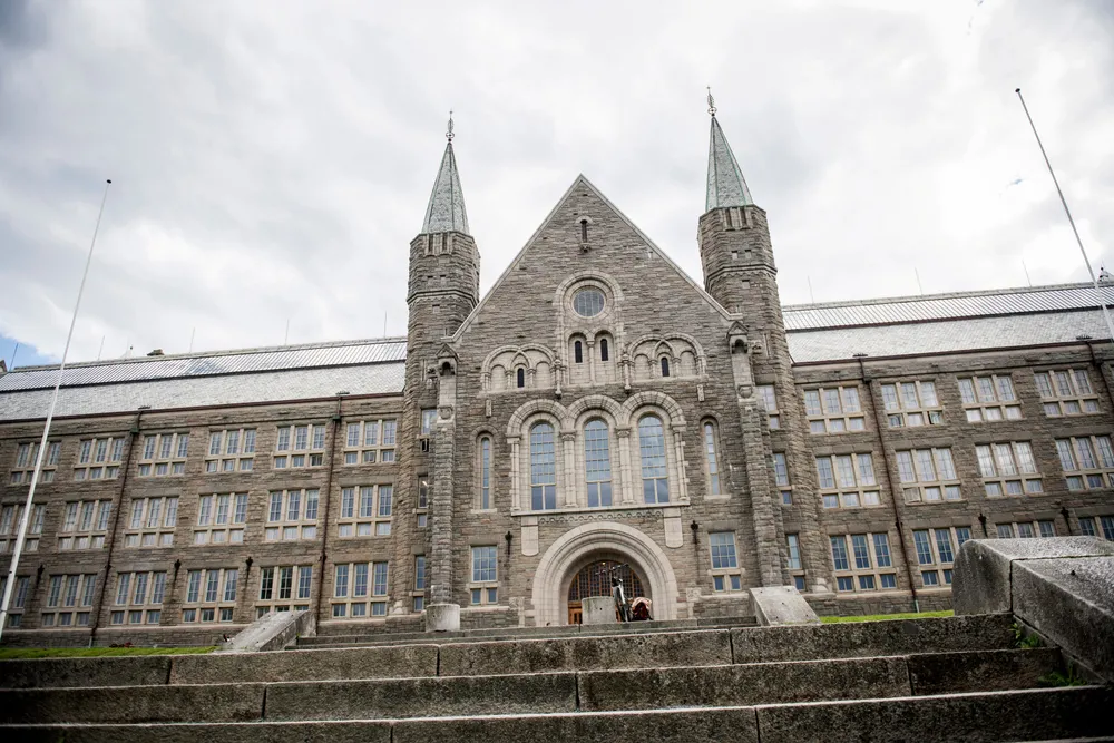 Det er ikke opp til rektor ved NTNU, Anne Borg, om ansatte ved universitetet bør bruke ord som «bestillingsverk» om arbeid som er bestilt og betalt av en særinteresseorganisasjon som NHO, skriver innleggsforfatteren.