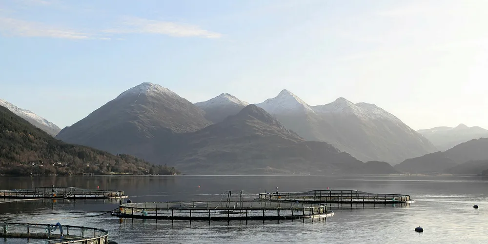 A Marine Harvest Scotland salmon farm on Loch Duich
