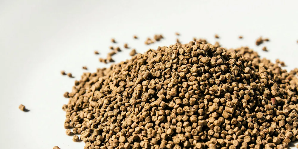 Scientists found 132 types of antibiotic resistant genes in the sediment of fish farms.