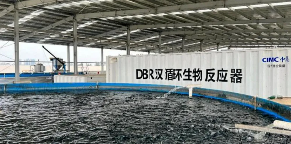 The entire farming water volume of the project is equivalent to the volume of 11 standard swimming pools, said CIMC.