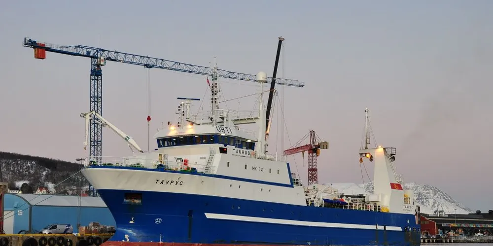 Mens norske rekebåter må fiske meed sorteringsrist, kan de utenlandske samle opp bifangst av blåkveite og torsk for store verdier i en egen opsamlingspose under fiske i Smutthullet i Barentshavet. Her ligger den estiske tråleren «Taurus» til kai i Harstad. Foto: Frode Adolfsen