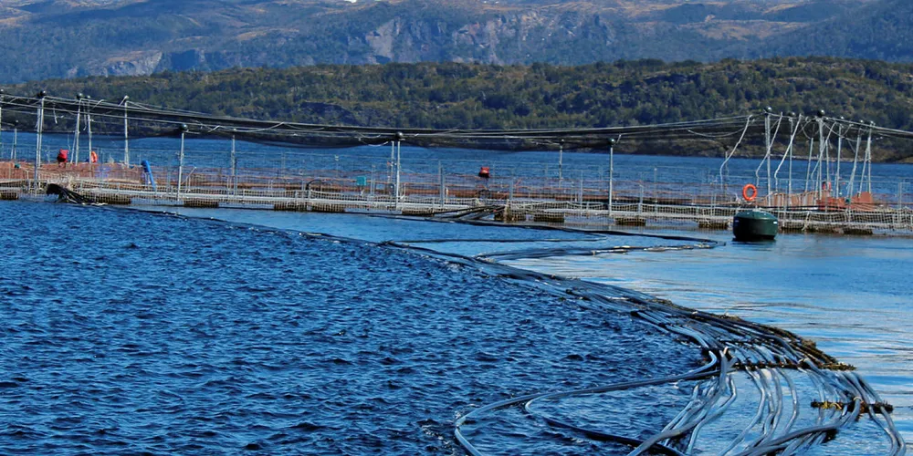 Magallanes salmon farming, Chile.