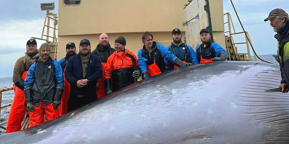 Her er et fornøyd mannskap på «Kato» med hval nummer 220.