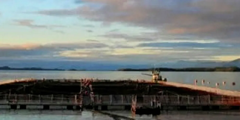 From the Archive December 2018: Cermaq confirms ISA outbreak at Chile salmon farm