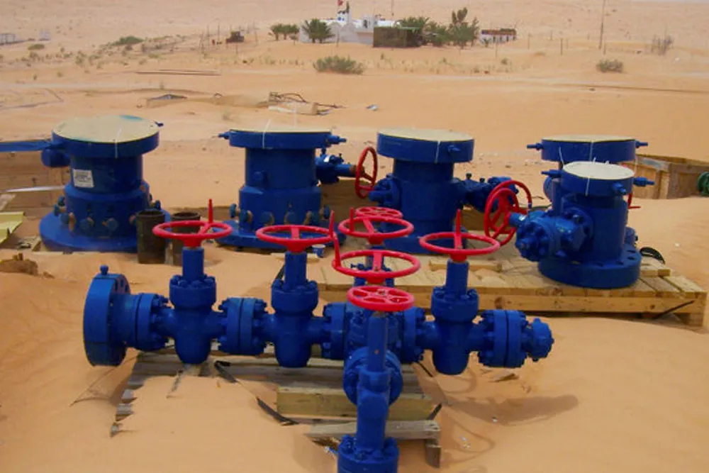Shut-in: Serinus operation in Tunisia
