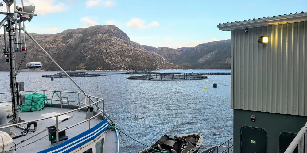 A Mowi Canada East salmon farming site. The division has struggled with sea lice and climate change incidents in the past several years.