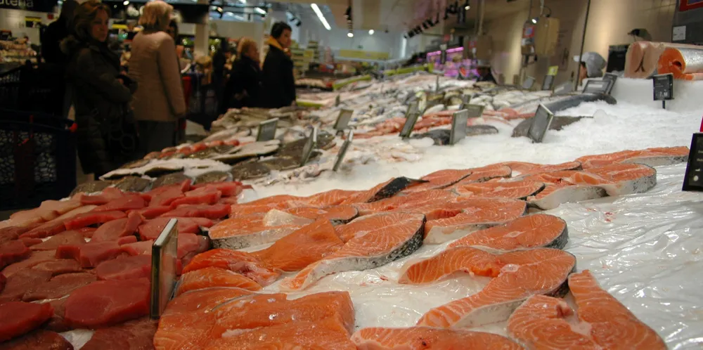 Norwegian salmon on the fish counter at Carrefour in Madrid.