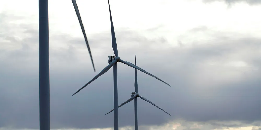 Vestas turbines in Denmark. Pic: Frank Boutrup Schmidt
