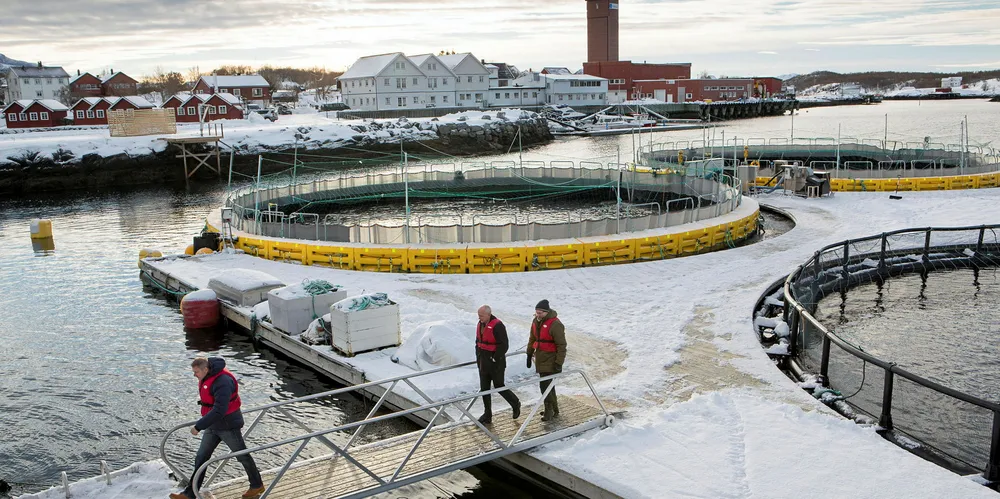 AkvaDesign har utviklet en teknologi for lukkede merder for oppdrett av fisk. Dette kan være en måte å unngå lakselus på.