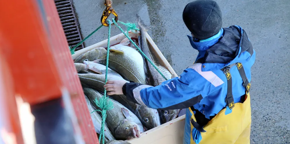 Etterspørselen etter torsk raskt i takt med vaksineringen og gjenåpning av samfunnet.