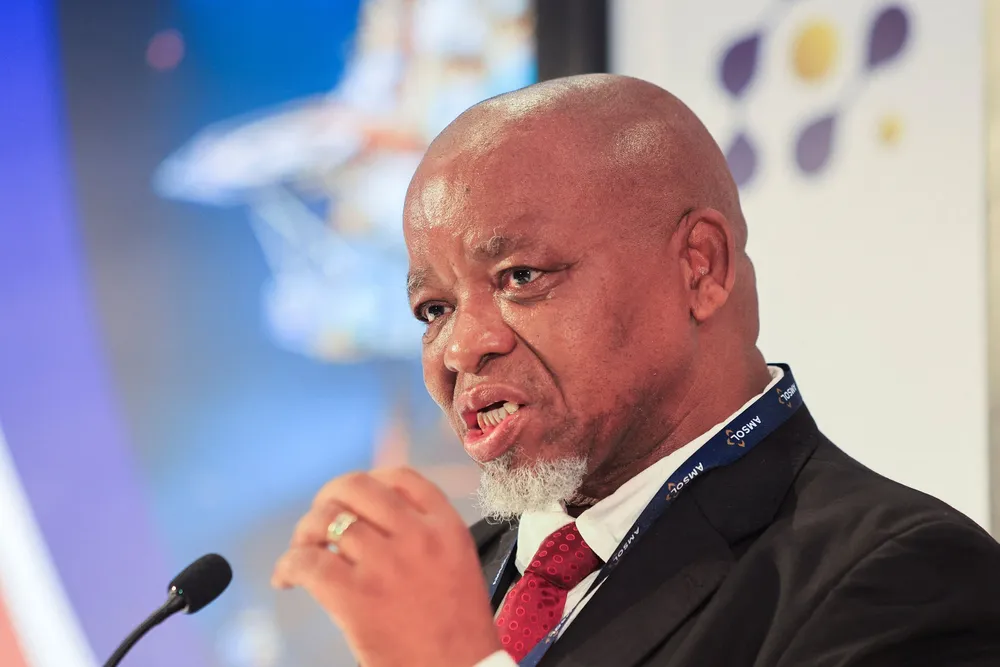 South African Minister of Mineral and Energy Gwede Mantashe.