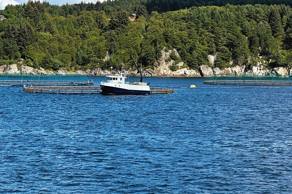 Mange deltakere i HMS-undersøkelsen 2023 bekymrer seg for at forhold ved arbeidsmiljøet deres kan påvirke helsen negativt nå eller på sikt, og mange hatt arbeidsrelatert fravær. Mange har opplevd nestenulykker som kunne ført til personskade.