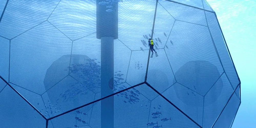 What's the future of aquaculture in the United States?