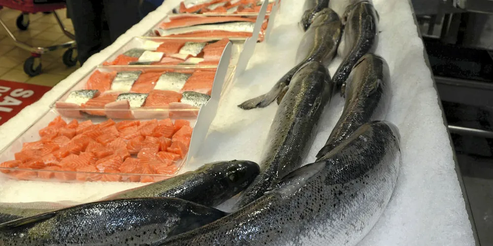 Norway's farmed salmon prices are surging.