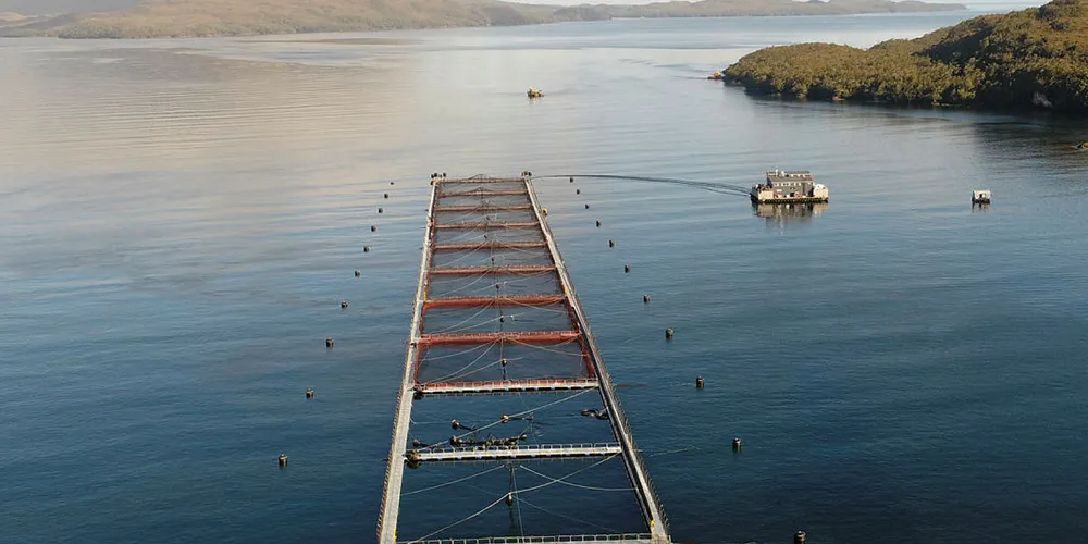 Challenging times for Chilean salmon producers.