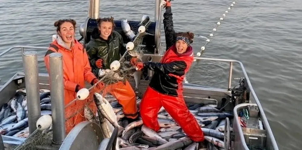 Bristol Bay is headed for another record harvest.