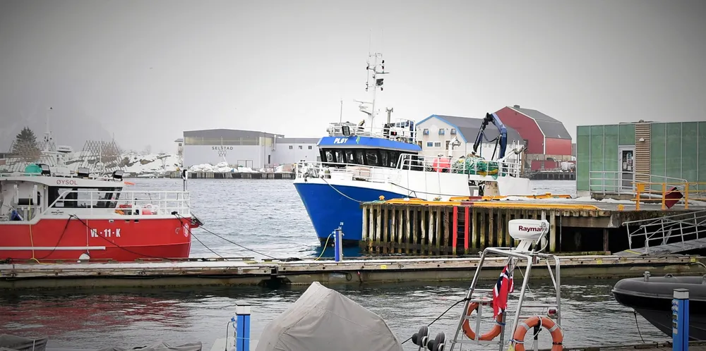 En mann i 40-årene er funnet omkommet i havna i Svolvær.