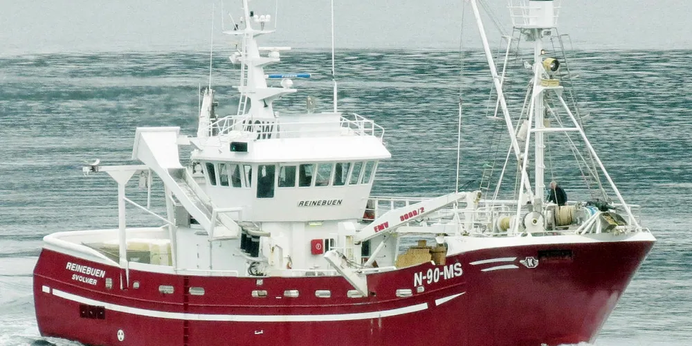 ALENE: «Reinebuen» er fortsatt ganske alene i jakten på vågehval i Vestfjord-området.