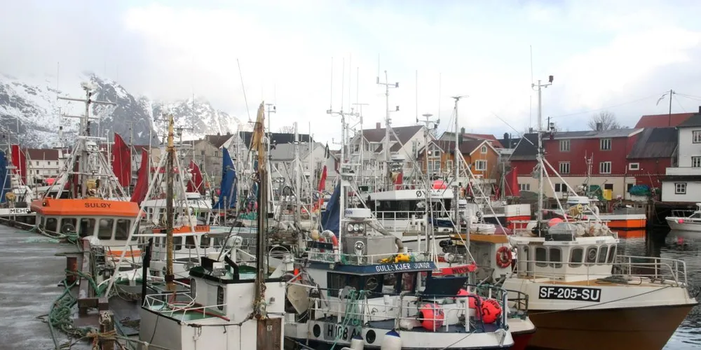 Henningsvær under fjorårets fiske. I år går Fiskeridirektoratet ut og oppfordrer fiskeren til å ta hensyn til hverandre og følge reglene som finnes. Foto: Torhild Måkestad Martinussen