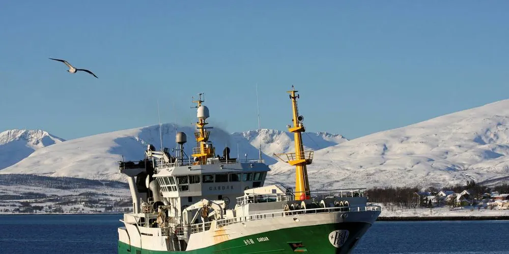 NORSK: «Gardar» tidligere eid av Inge Halstensen i Austevoll, er en av de beste bruktbåtene i den grønlandske pelagiske flåten. Den heter nå «Polar Amaroq».Arkivfoto: Rune Kvamme