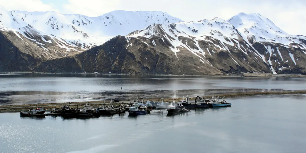 "The global reputation of US seafood as sustainable has been earned through many years of ensuring that management and policy decisions are based on the best available science, and we take protection of scientific integrity very seriously," says NOAA official Chris Oliver.