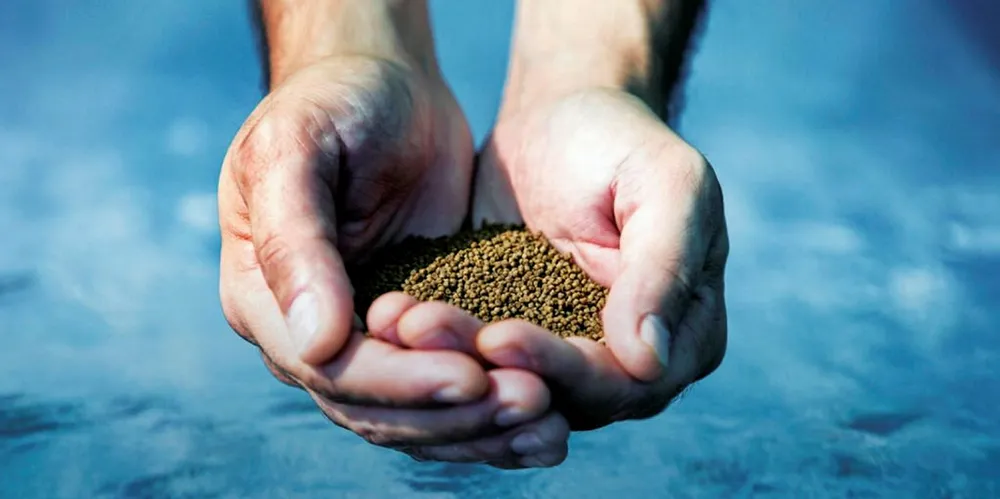 Benchmark Holdings feed.
