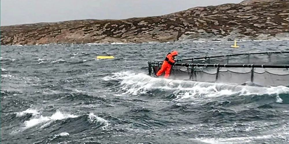 Uværsarbeid på merdkanten.
