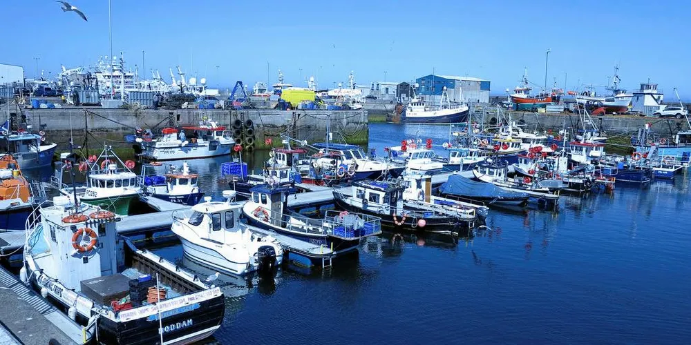 SMÅ ANDELER: Det er et stort antall fiskebåter under 10 meter i Storbritannia, men de har små andeler av kvotene. Her fra Fraserburgh havn i Skottland.Foto: Nils Torsvik