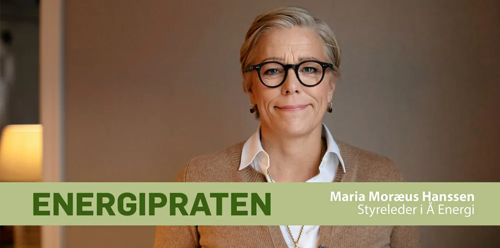 – Jeg stiller meg litt undrende til at vi ikke gjør mer på energieffektivisering