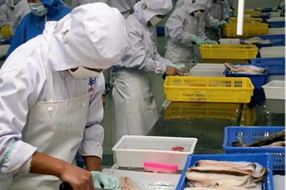 In August alone, Norway more than doubled its exports of frozen cod to China.