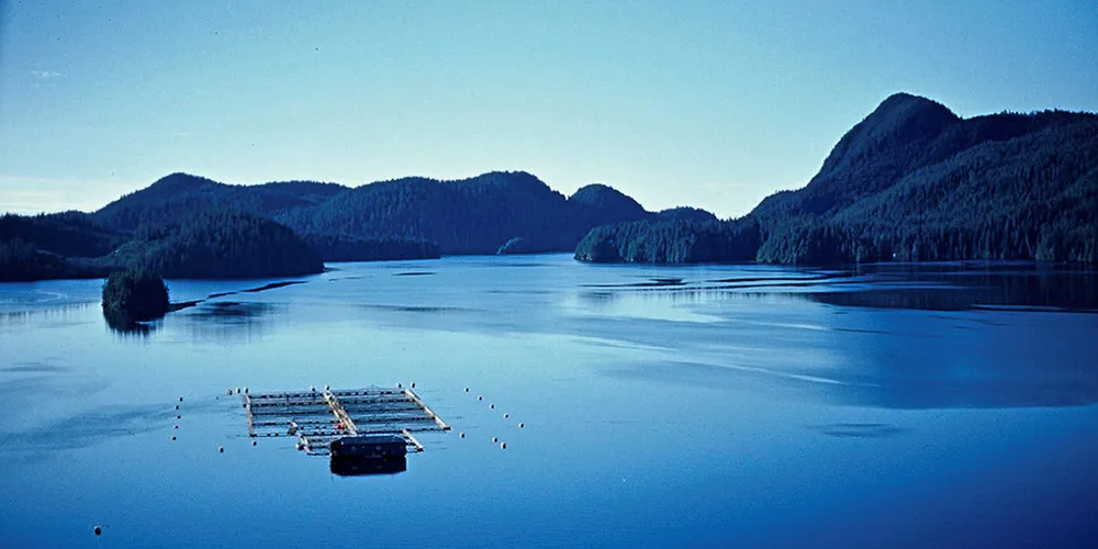 BC Salmon Farm.
