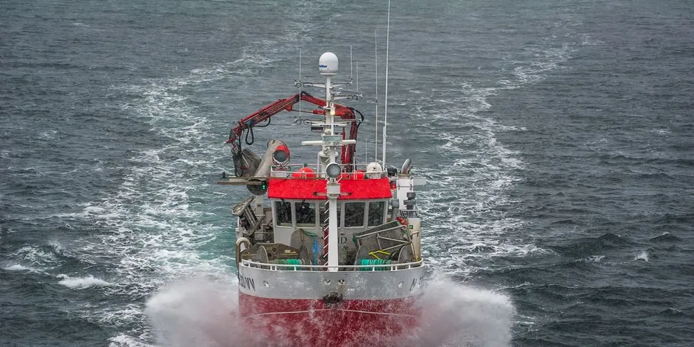 Lofotbåten «Vareid», nå omdøpt «Asbjørn Johan», er solgt til Bjørnar og Arnstein Næss fra Smøla på Nordmøre. Nå rigger de seg for torsken i Finnmark. Foto: Jørgen Iversen Lie
