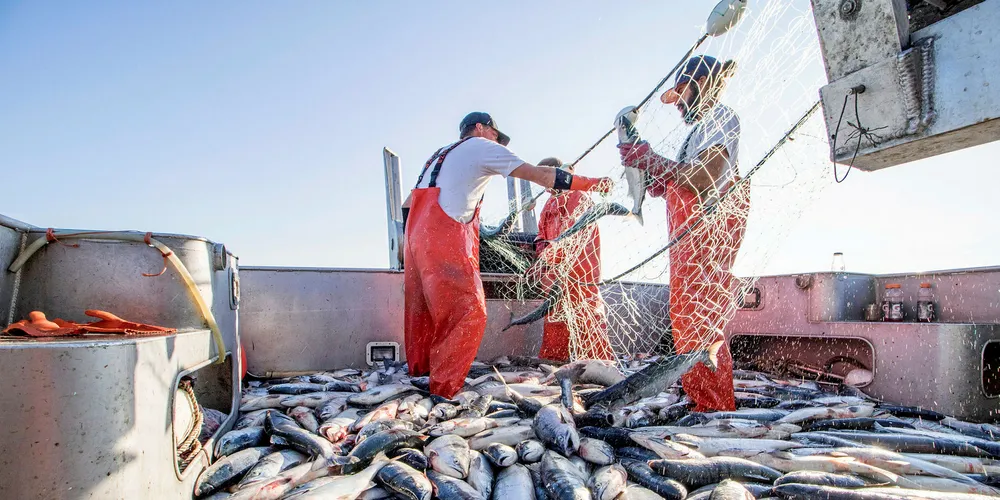 Bristol Bay had an exceptional season this year.