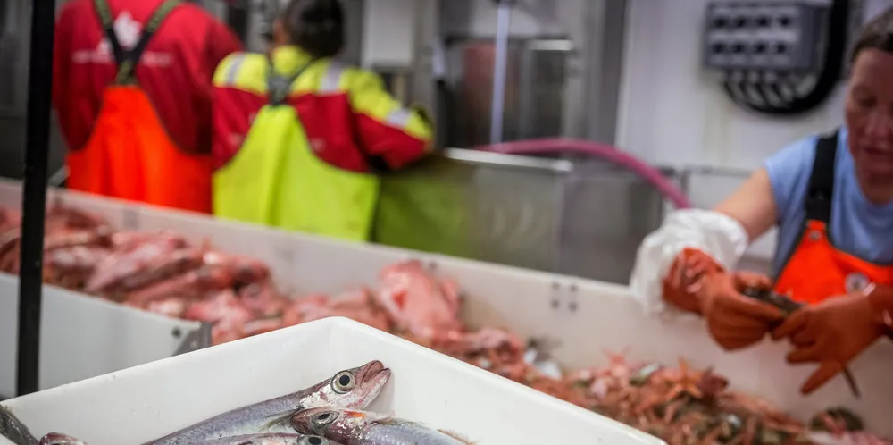 Kolmule fikk en prisnedtur i vår fordi fiskemel og -olje produsert av kolmule uten MSC-godkjenning ikke kunne gå til produsentene av fôr til atlantisk oppdrettslaks.
