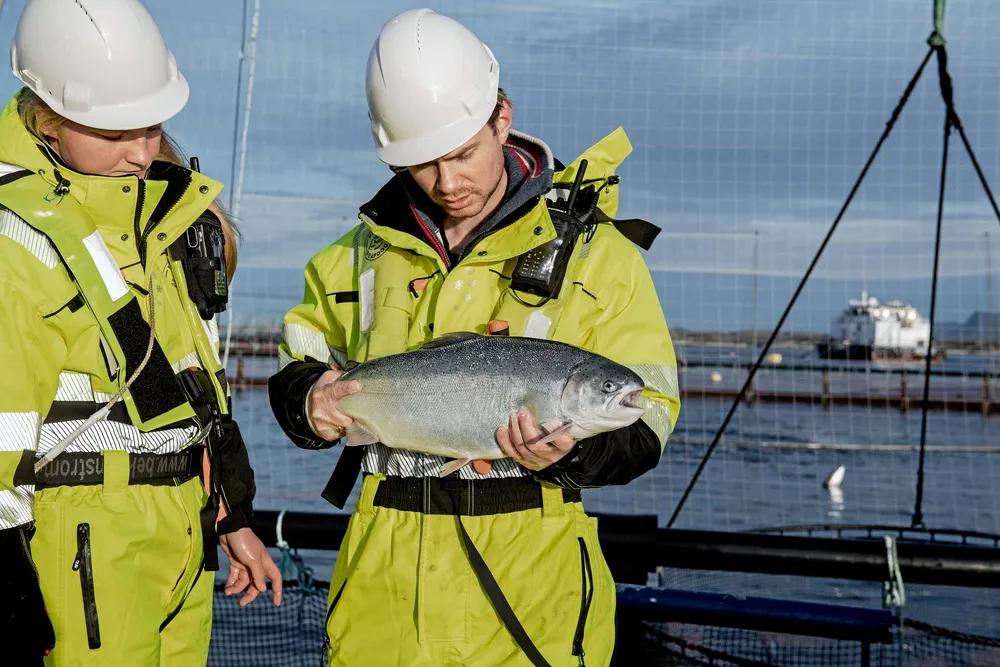 Ørretoppdrett hos Firda Seafood på Vestlandet.