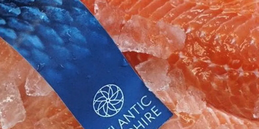 Atlantic Sapphire fresh land-based farmed salmon fillets officially went on sale in late September.