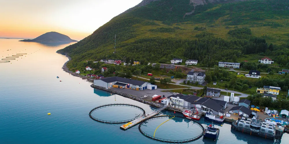 Wilsgård Fiskeoppdrett AS har hovedkontor i Torsken på Senja. Pressefoto