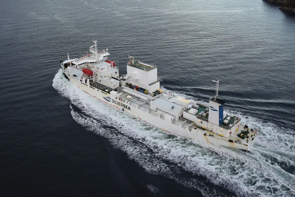 Silver Dania, photographed in 2022.