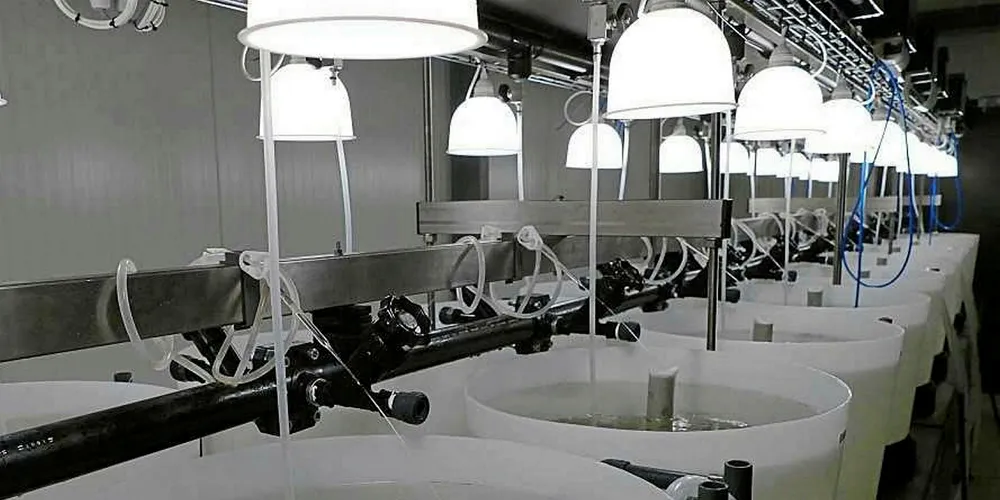 BioMar hatchery research unit.