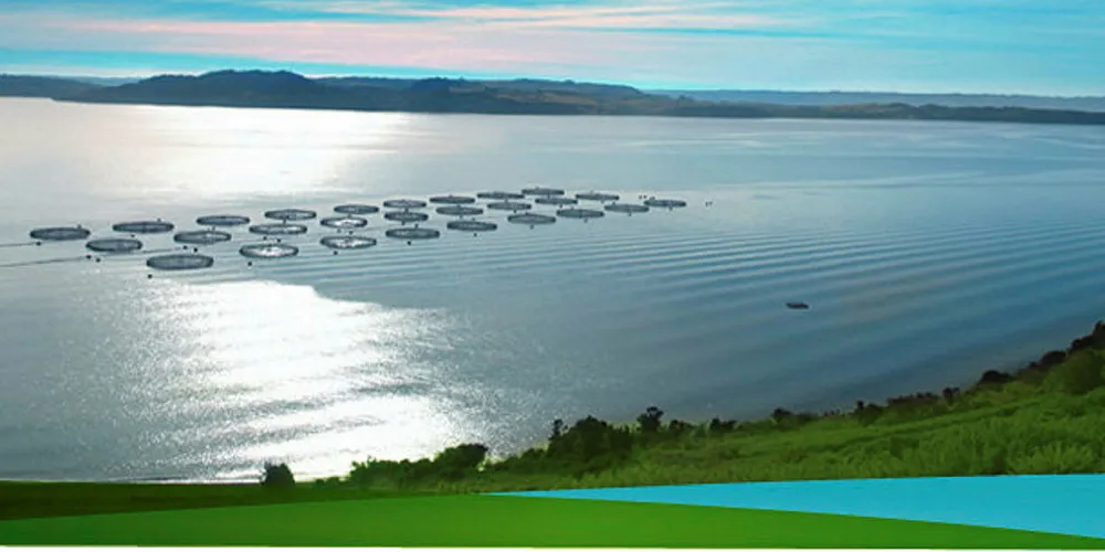 Invermar approves Surmar takeover