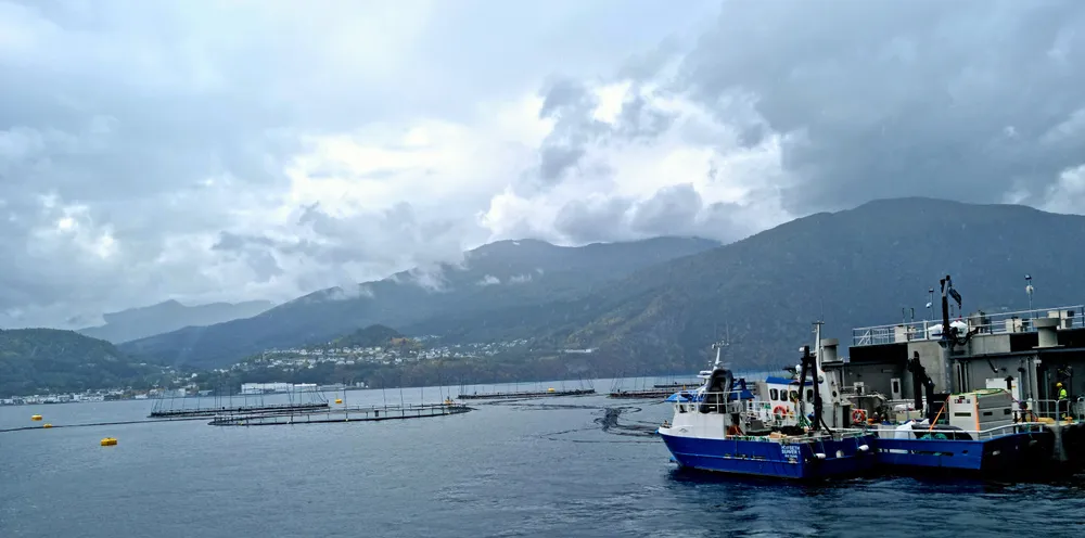Hofseth Aqua driver lakseoppdrett blant annet ved denne lokaliteten i Storfjorden i Møre og Romsdal.