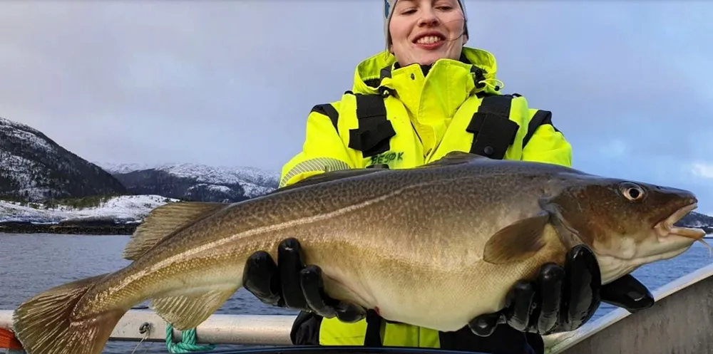Employee holds one of Norcod's farmed cod.