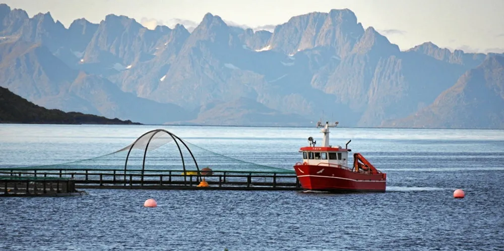 Oppdrettslokalitet i Steigen kommune i nordre Nordland.