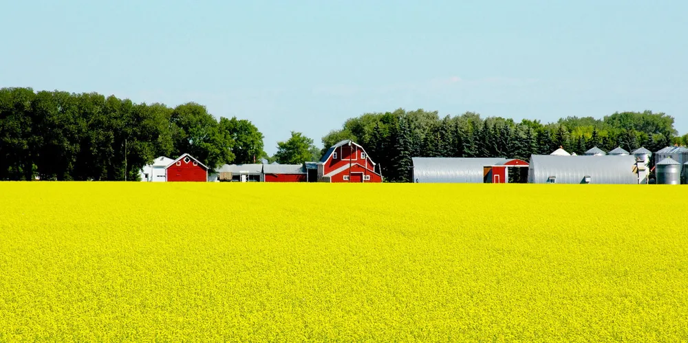 The Aquaterra product is derived from Nuseed omega-3 canola, which is a novel source of long-chain omega-3 fatty acids.
